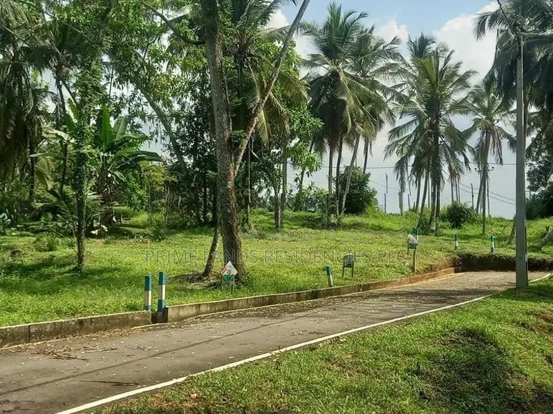 Gated Community Lands for Sale in Homagama