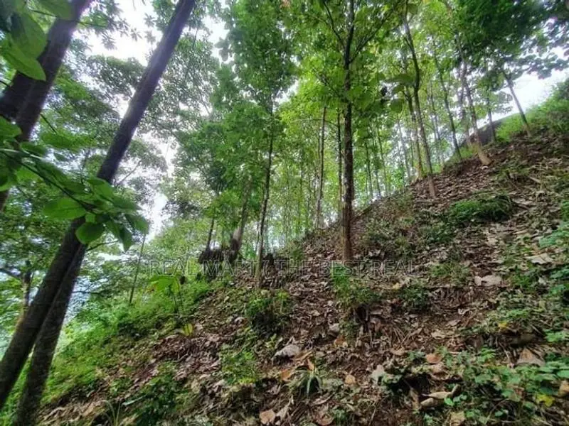Rambukkana : 109 Perches Land for Sale at Hiriwadunna
