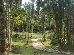 Gated Community Lands for Sale in Homagama