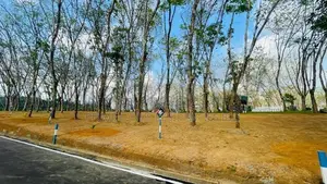 Valuable Flat Land for Sale in Homagama Berukatiya