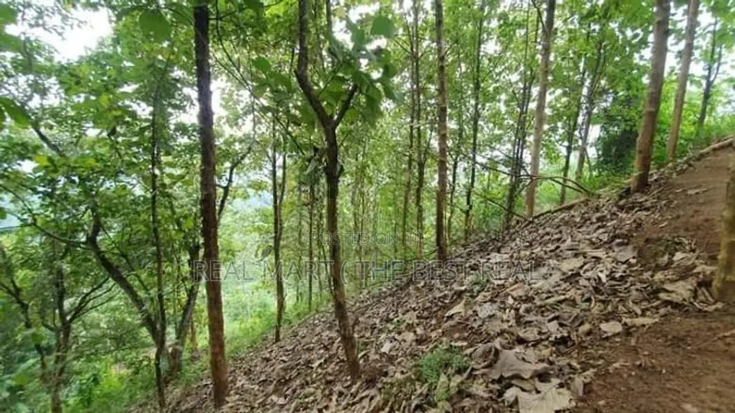 Rambukkana : 109 Perches Land for Sale at Hiriwadunna