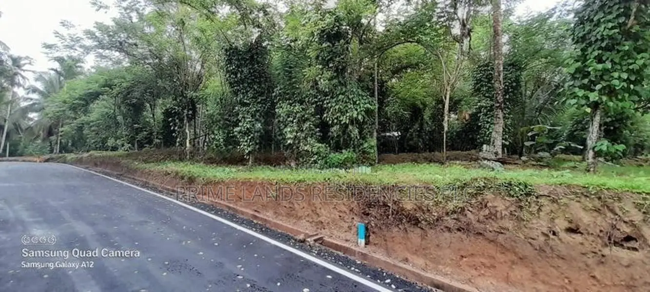 මීගොඩ කෘෂිකාර්මික සහ නේවාසික බිම් කොටස් විකිණීමට