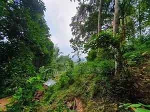 Rambukkana : 109 Perches Land for Sale at Hiriwadunna