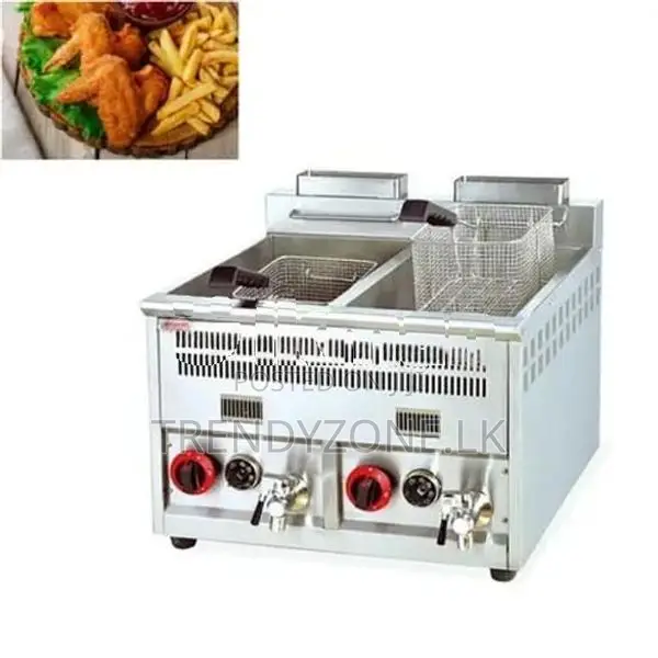 Industrial Large Tank 14L + Gas Deep Fryer