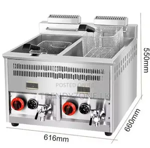 Industrial Large Tank 14L + Gas Deep Fryer
