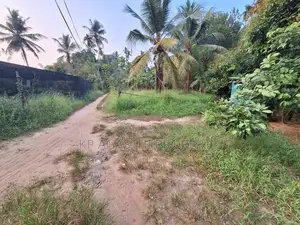 ම්ගොඩින් වටිනා ඉඩමක් ව්දුලිය ජලය සහිත විකිනිමට