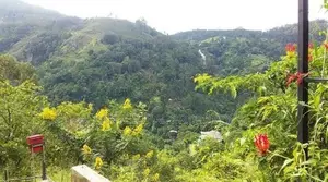 Land for Sale in Ella