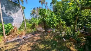 හපුගොඩ – කඳාන අඩි 20 කාපට් පාරට මායිම් ඉඩම විකිණීමට