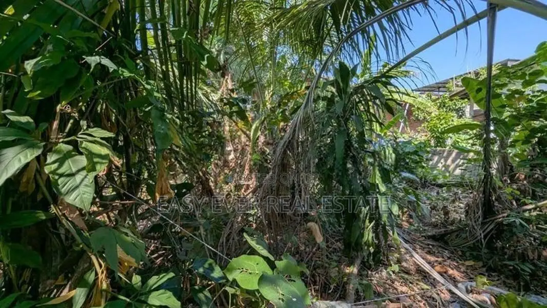 හපුගොඩ – කඳාන අඩි 20 කාපට් පාරට මායිම් ඉඩම විකිණීමට