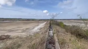 Puttalam : 10 Acres Shrimp Farm for sale at Madurankuliya