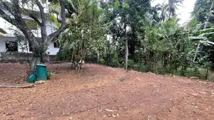 Land for Sale in Gampaha