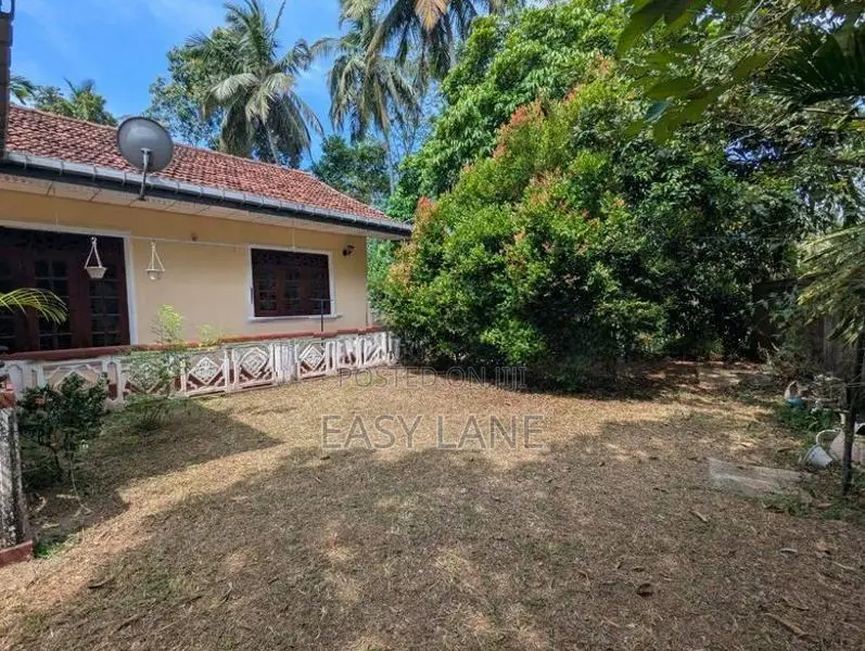 කොළඹ නුවර පාරට ඇවිද යන දුරින් පොල් ඉඩමක්