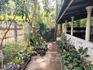 යක්කල නෙල්ලිගහමුලින් අංගසම්පූර්ණ නිවසක්