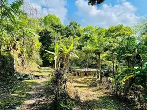 Land For Sale In Nittambuwa