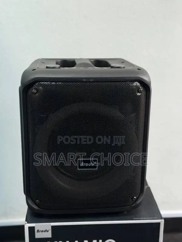 Brodu Bts-1739 Bluetooth Karaoke Speaker