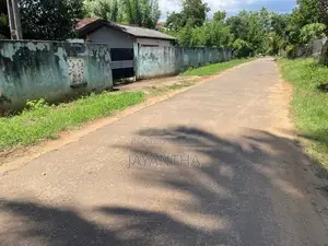 Land for Sale in Udawalawa