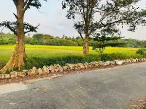 Paddy Field Facing Land for Sale Battaramulla DS3447