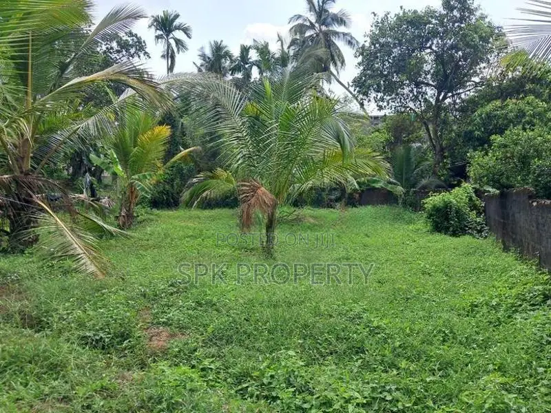 Land for Sale Himbutana