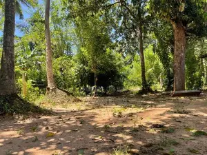 Land for Sale in Udawalawa