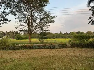 Paddy Field Facing Land for Sale Battaramulla DS3447