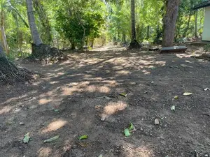 Land for Sale in Udawalawa