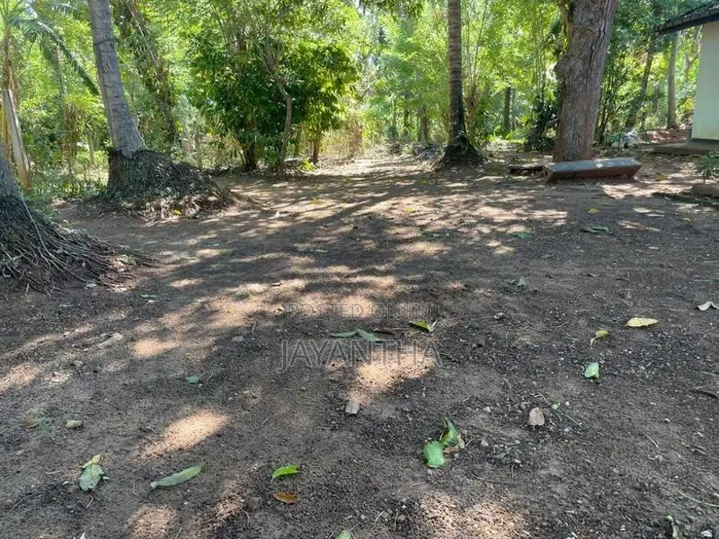Land for Sale in Udawalawa