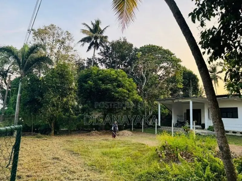 Paddy Field Facing Land for Sale Battaramulla DS3447