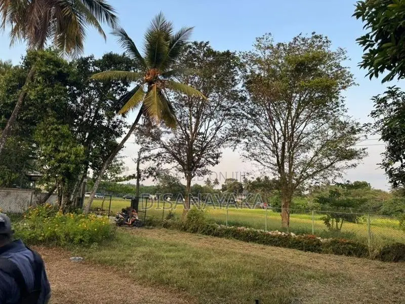 Paddy Field Facing Land for Sale Battaramulla DS3447