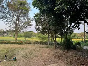 Paddy Field Facing Land for Sale Battaramulla DS3447