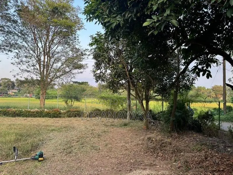Paddy Field Facing Land for Sale Battaramulla DS3447
