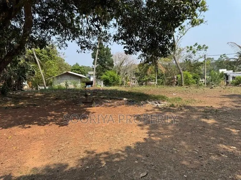 පර්චස් 109 ක ව්‍යාපාරික ඉඩමක් විකිණීමට ඇත - Piliyandala