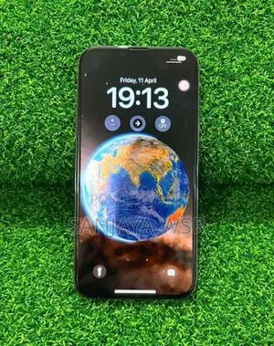 Apple iPhone 13 Pro Max 256GB (Used)