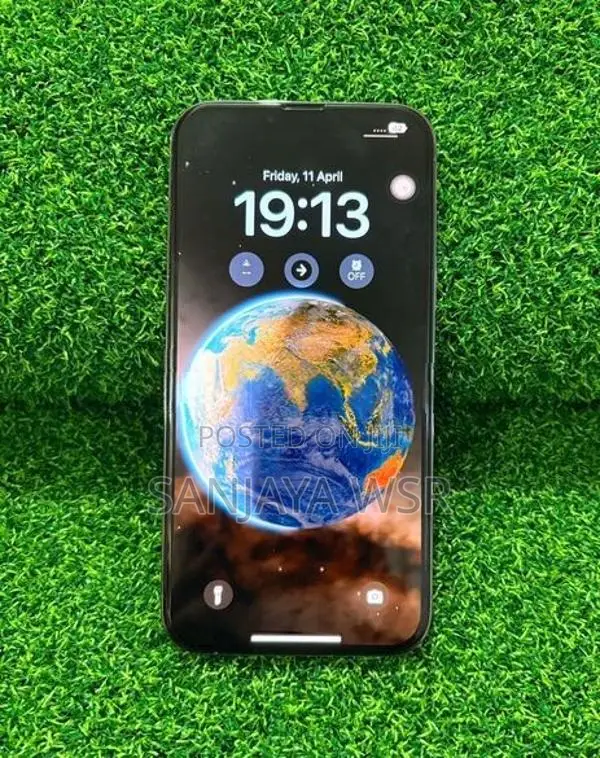 Apple iPhone 13 Pro Max 256GB (Used)