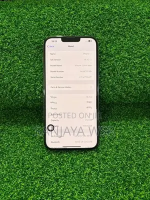 Apple iPhone 13 Pro Max 256GB (Used)