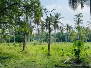 Commercial Land for Sale in Gampaha