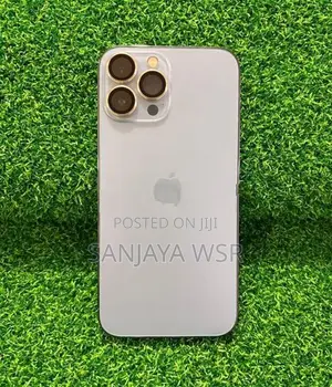 Apple iPhone 13 Pro Max 256GB (Used)