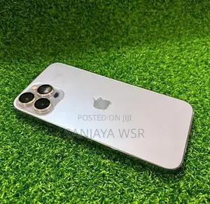 Apple iPhone 13 Pro Max 256GB (Used)