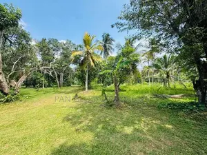 Commercial Land for Sale in Gampaha