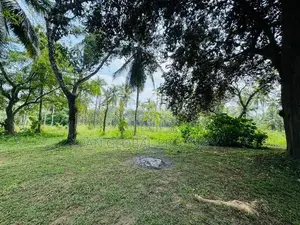 Commercial Land for Sale in Gampaha