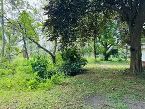 Commercial Land for Sale in Gampaha