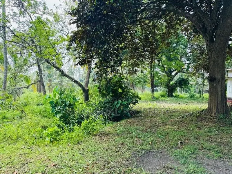 Commercial Land for Sale in Gampaha