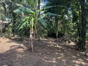 400M to Colombo Road Land for Sale in Piliyandala
