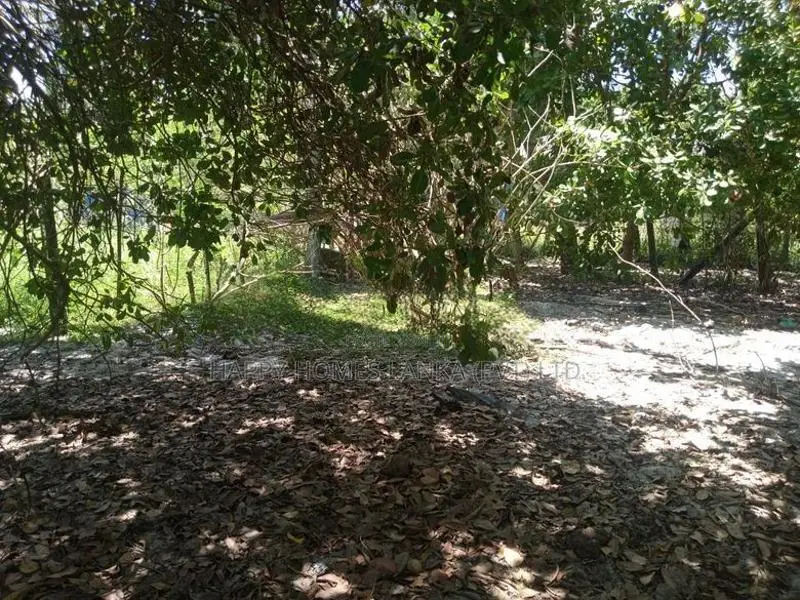 HHL0314 - Land for sale in Thannamunai