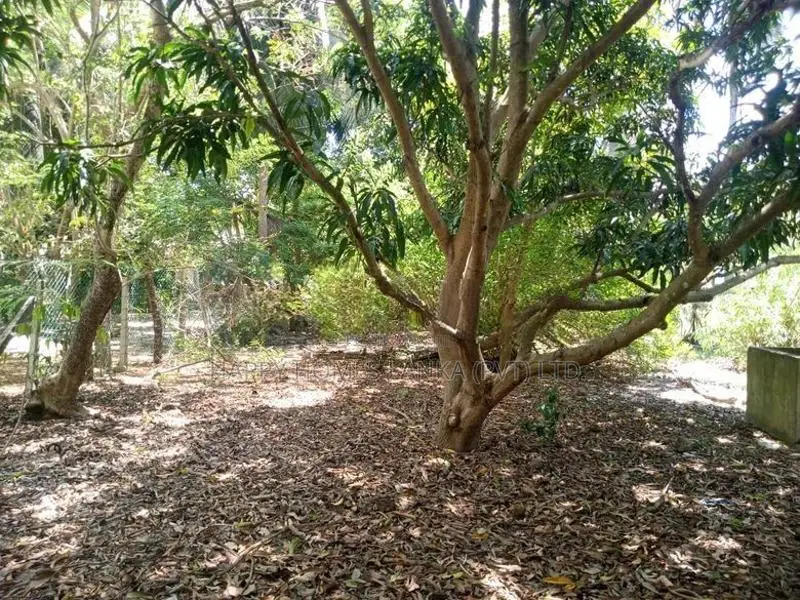 HHL0314 - Land for sale in Thannamunai