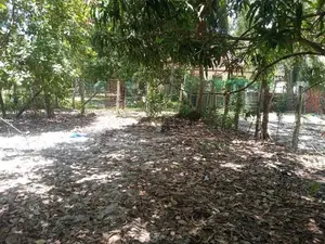 HHL0314 - Land for sale in Thannamunai