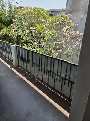 Colombo 7, Unfurnished, 1ST Floor House With large Garden (MG1284)