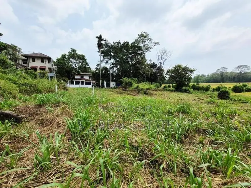 53.50P Paddy Field Facing Land For Sale In Malabe