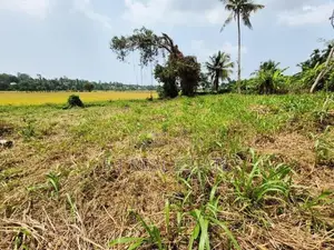 53.50P Paddy Field Facing Land For Sale In Malabe