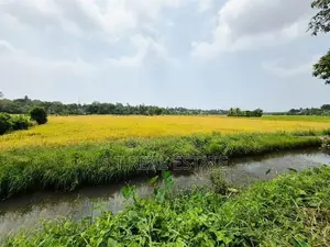 53.50P Paddy Field Facing Land For Sale In Malabe