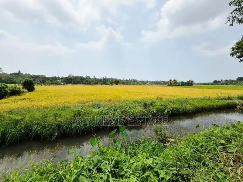 53.50P Paddy Field Facing Land For Sale In Malabe
